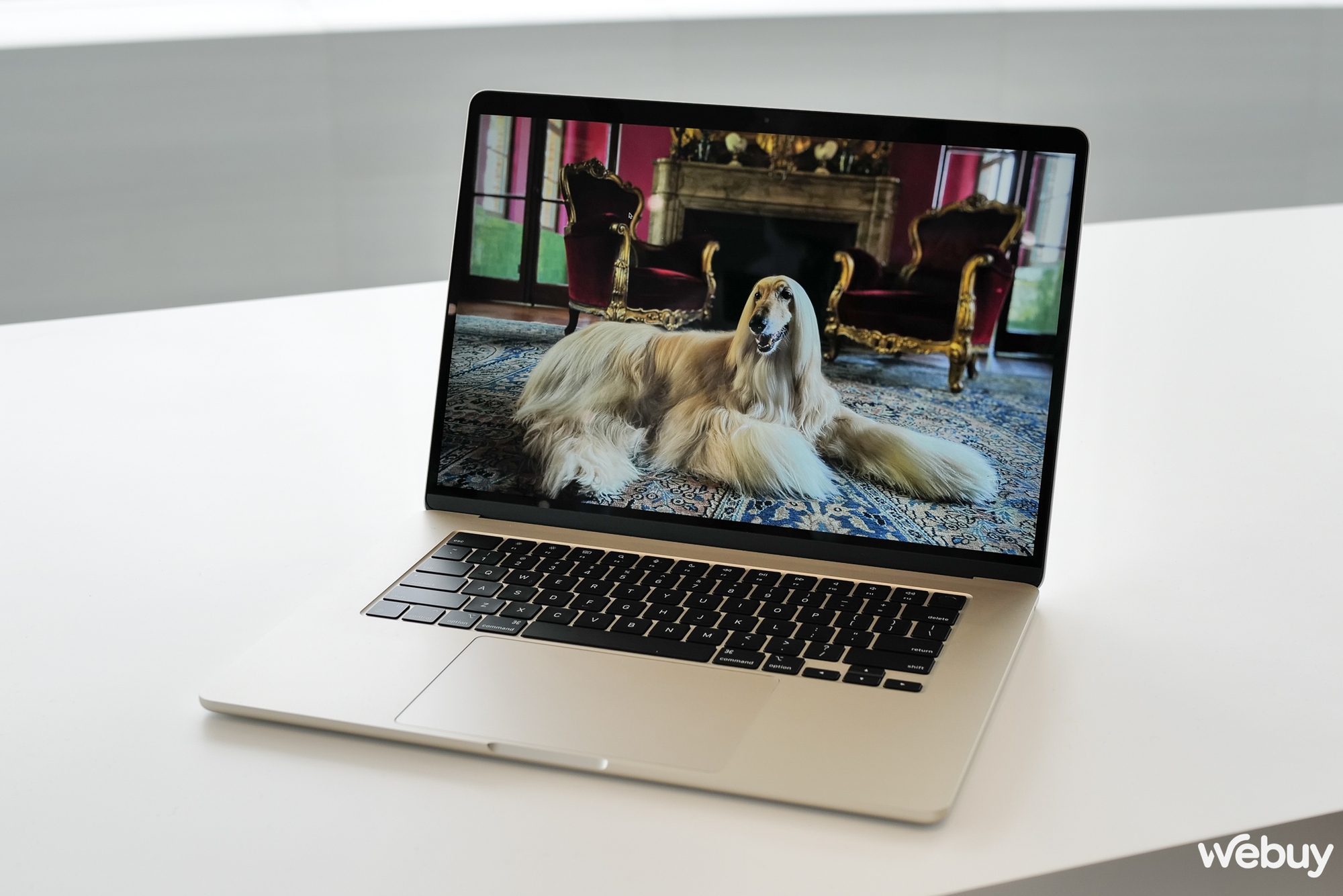Ảnh thực tế chiếc MacBook 15 inch mỏng nhẹ nhất của Apple, giá chính hãng chỉ 32,99 triệu đồng - Ảnh 4. Ảnh thực tế chiếc MacBook 15 inch mỏng nhẹ nhất của Apple, giá chính hãng chỉ 32,99 triệu đồng - Ảnh 4.